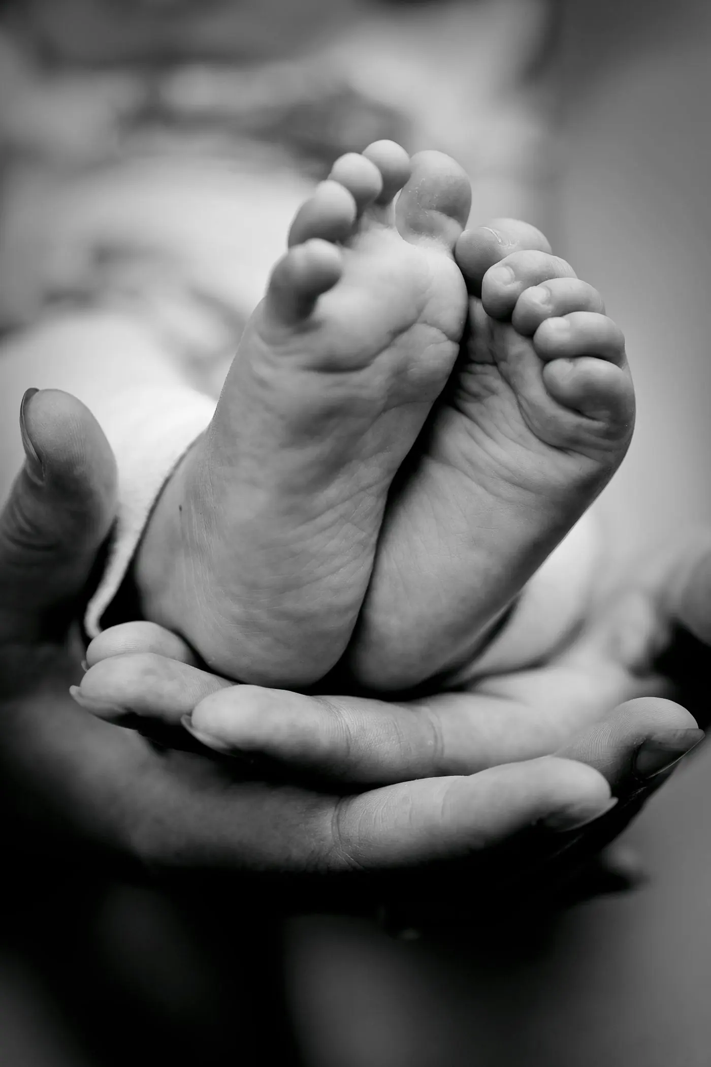 Les pieds du nouveau-né dans les mains d'un parent