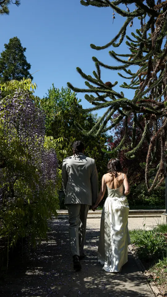 Les mariés sous la glycine