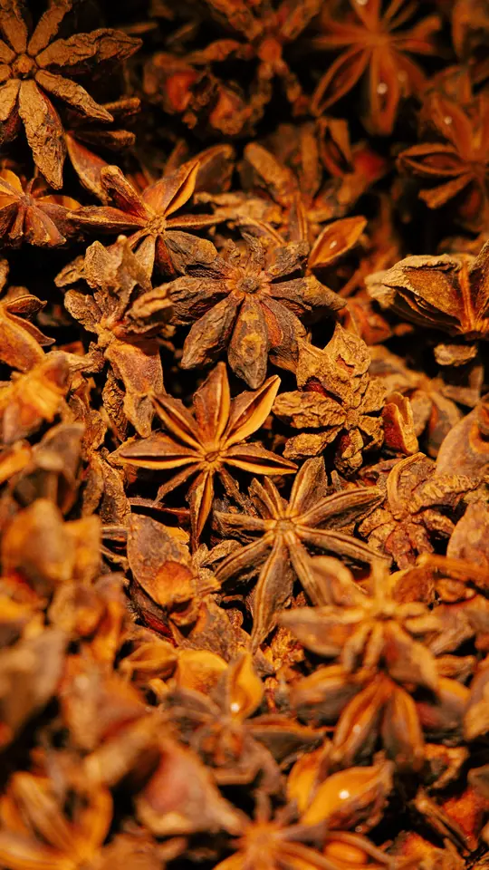 Anis étoilé, épicerie fine